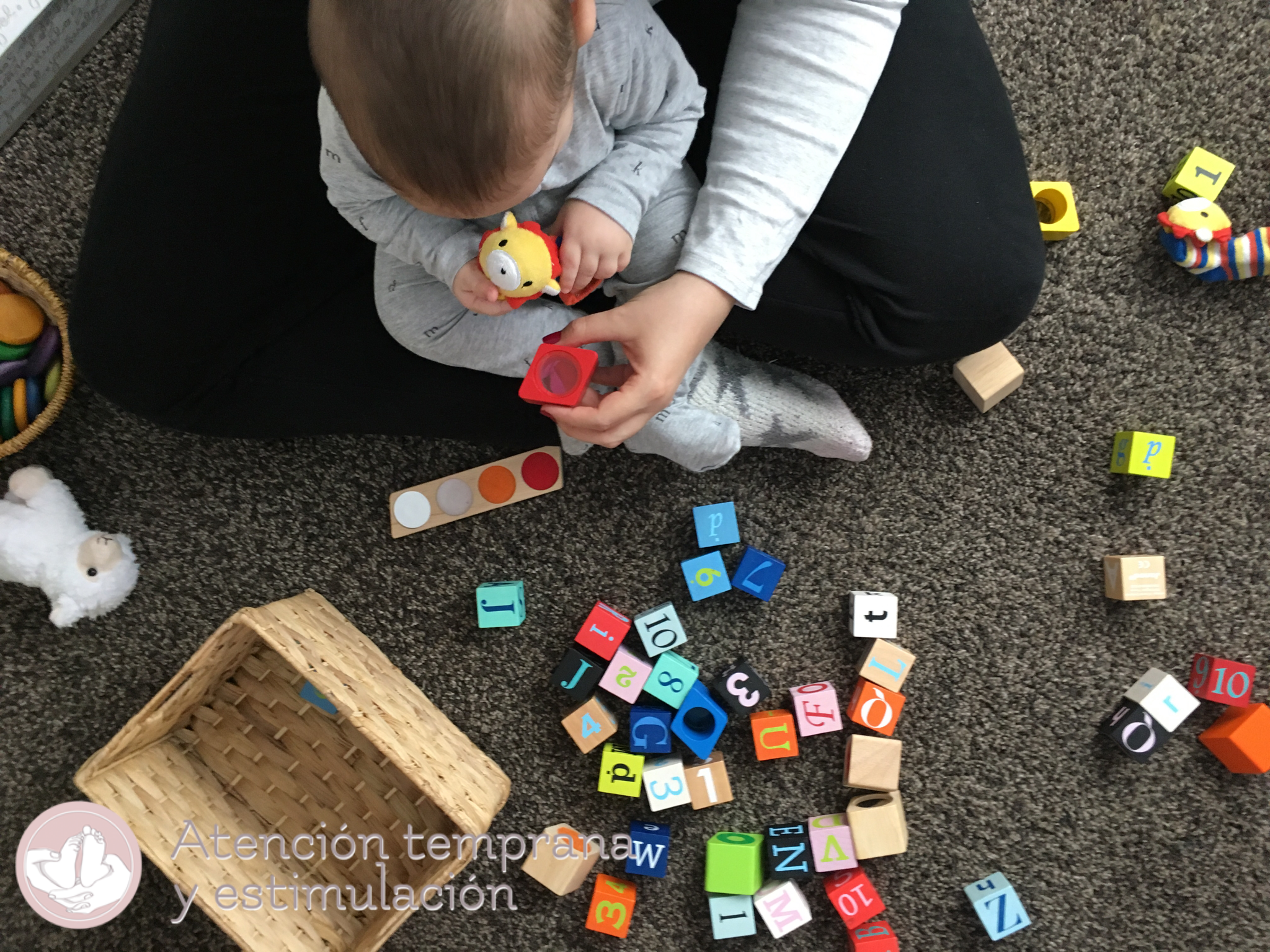 lengua signos bebes bitacoras